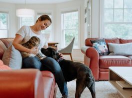 A woman introducing a cat to a dog, the cat is clearly upset.
