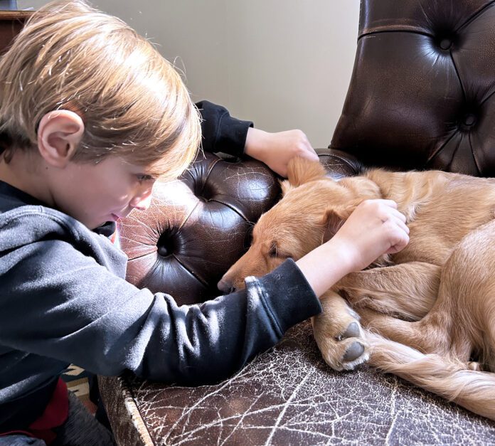 Teaching a puppy to be comfortable with human handling can build the basis for lifelong positive interactions.