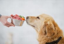 Dog Food Logic Book from Whole Dog Journal