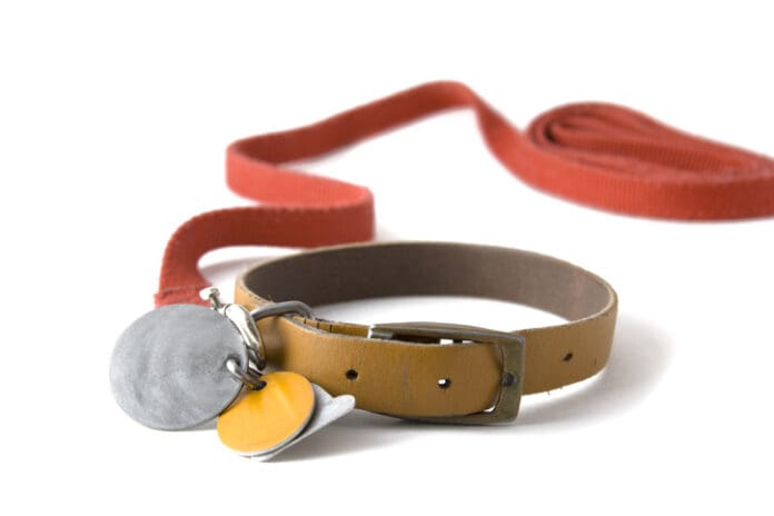 Guide To Collars, Leashes & Harnesses eBook from Whole Dog Journal