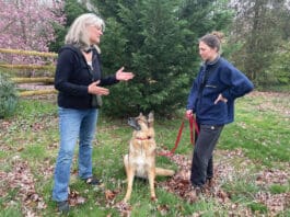 Who is the dog trainer training.