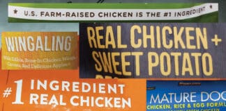 Chicken is the most common source of protein for dog food, meaning chicken free dog food is a tough find.