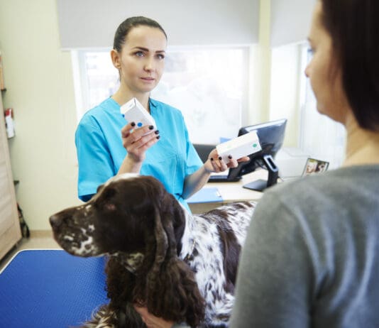 Dog pain medication is prescribed to help dogs maintain quality of life while dealing with medical care or illness.