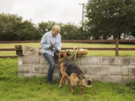 When your dog eats an onion it's natural to panic, but how much onion is toxic to dogs.