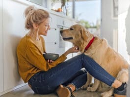 Dogs can eat oatmeal provided it's cooked and made without additional ingredients.