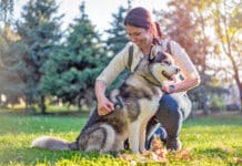 Your dog losing hair is upsetting, but hair loss isn't always harmful.