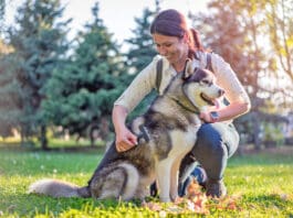 Why Is My Dog Losing Hair? Your dog losing hair is upsetting, but hair loss isn't always harmful.