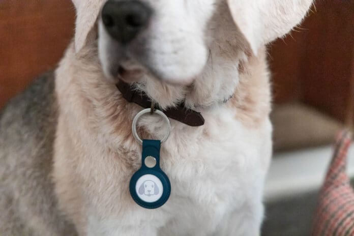 Dog tracking devices are a desired device, but rarely work as desired.