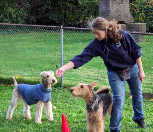 Whole dog journal editor Kate O'connor with her dogs.