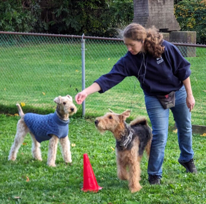 Whole dog journal editor Kate O'connor with her dogs.