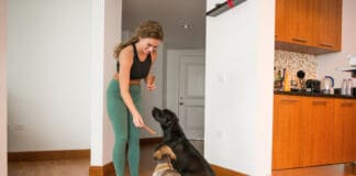 Managing A Multi-Dog Household eBook from Whole Dog Journal