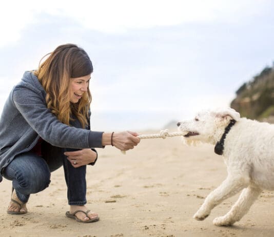 Play with Your Dog Book from Whole Dog Journal