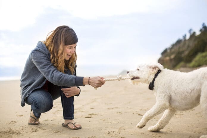 Play with Your Dog Book from Whole Dog Journal