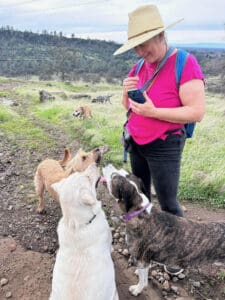 Editor Nancy Kerns walking her dogs and her friends dogs.