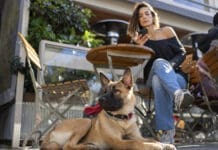 A dog sits attentively under a table at an outdoor cafe.