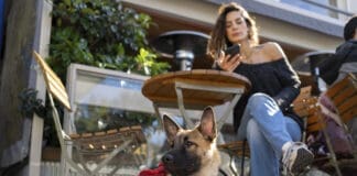 A dog sits attentively under a table at an outdoor cafe.