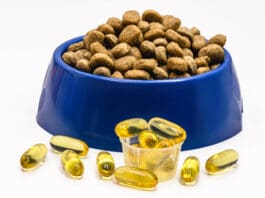 Fish oil for dogs can support their health.
