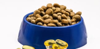 Fish oil for dogs can support their health.