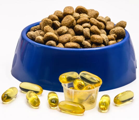 Fish oil for dogs can support their health.