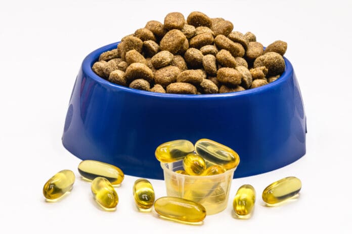 Fish oil for dogs can support their health.