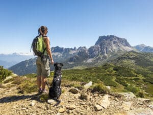 Packing water and cooling supplies can help prevent heat stroke in dogs.