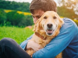 Why does your dog sit on you? Most likely affection.