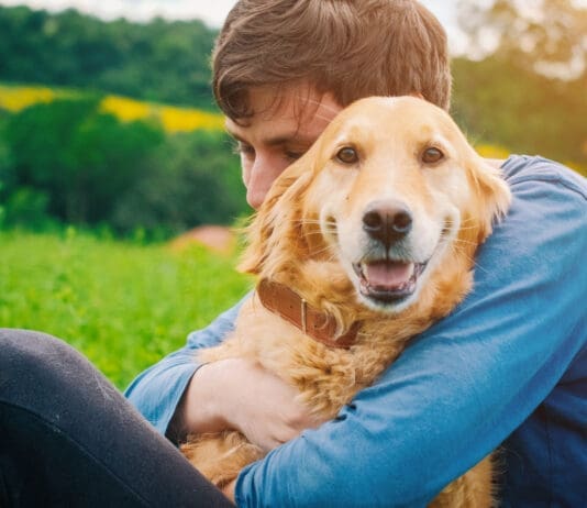 Why does your dog sit on you? Most likely affection.