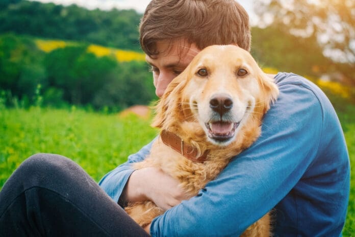 Why does your dog sit on you? Most likely affection.