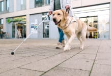 Service dogs come in many different types and can help with multiple conditions.