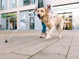 Service dogs come in many different types and can help with multiple conditions.