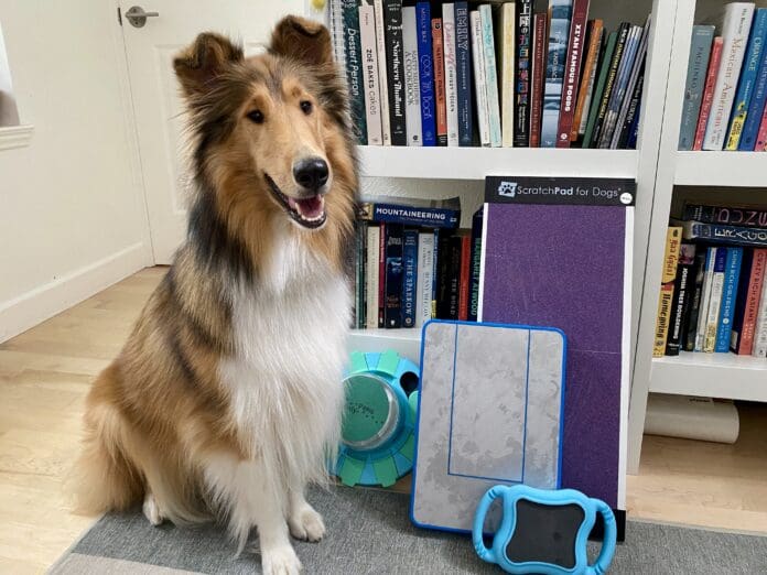 Dog scratch pads provide an alternative to clippers for keeping dog nails trimmed.