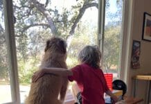 Few things are as heartwarming as a well behaved grandchild and dog spending pleasant time together.