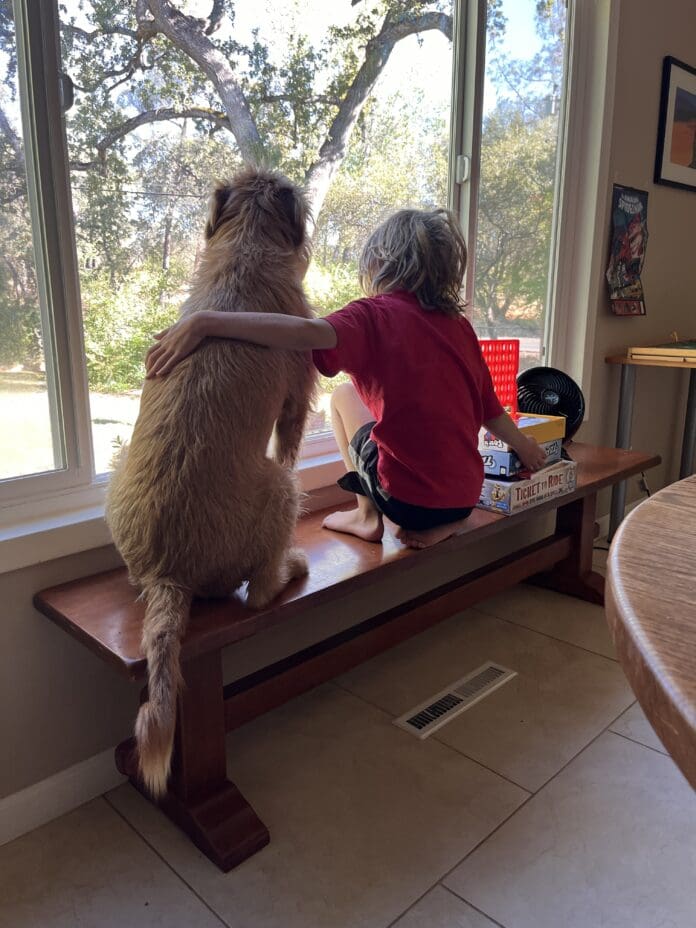 Few things are as heartwarming as a well behaved grandchild and dog spending pleasant time together.