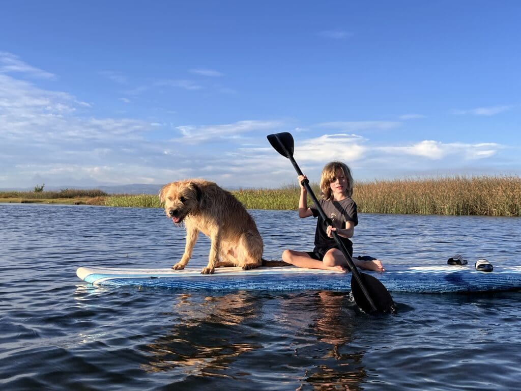 Kids and dogs can make many summertime memories together when they understand each other.