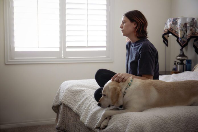 There is help available for victims of domestic violence and their pets.