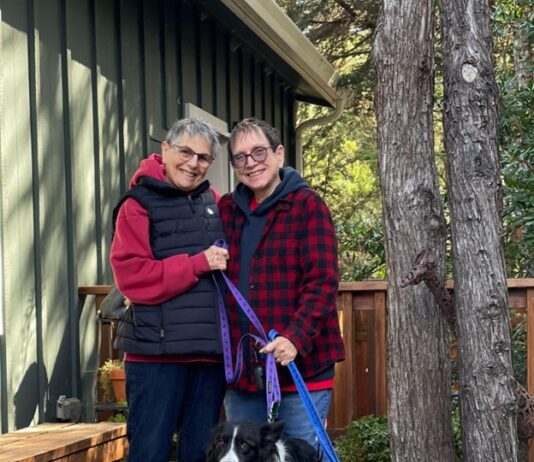 Choosing a dog transport service for long moves is a hard choice.