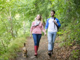 Dogs can get poison ivy, and it is a hazard to be avoided on woodland walks.