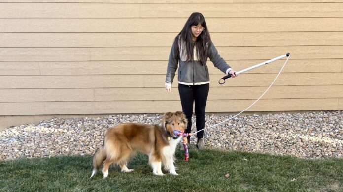 Flirt poles for dogs are a great play toy that engages and exercises your dog.