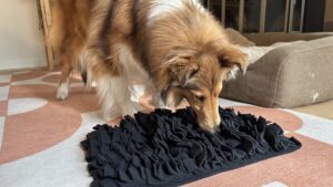 The best snuffle mats for dogs allow for plenty of mental stimulation.