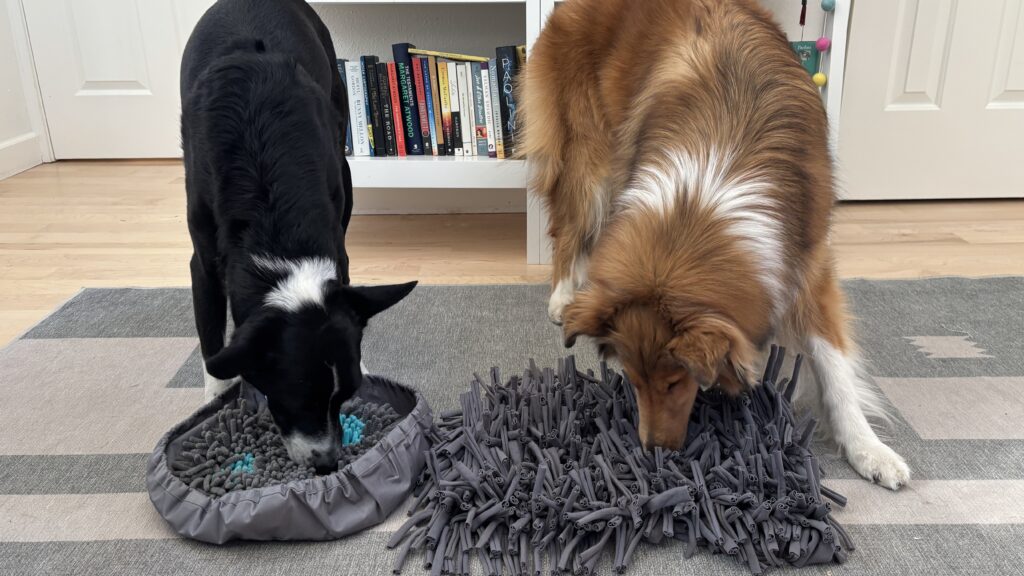 Dog snuffle mats need to keep dogs engaged over and over again.