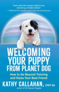 Welcoming your puppy from planet dog is one of the best dog training books we've found.