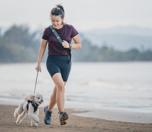 Knowing how to calm a dog down is necessary both indoors and outdoors.