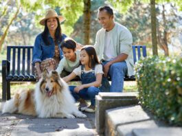 The best family dogs are a product of training and management.