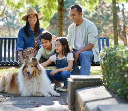 The best family dogs are a product of training and management.