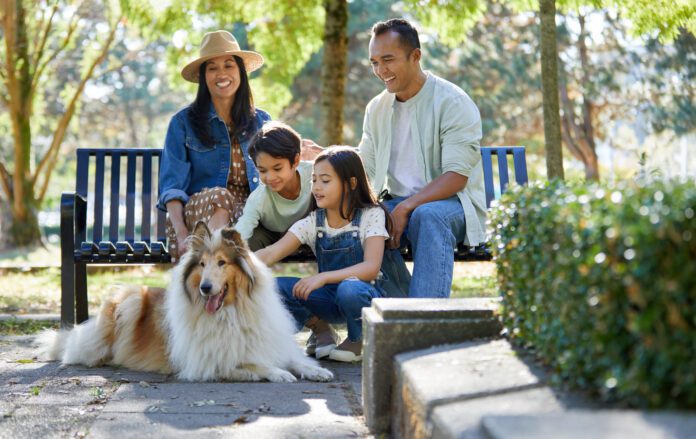 The best family dogs are a product of training and management.