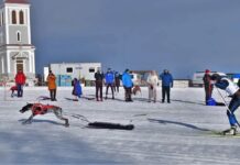 Skijoring is a winter sport for dogs that challenges the athleticism of both the dog and skier.