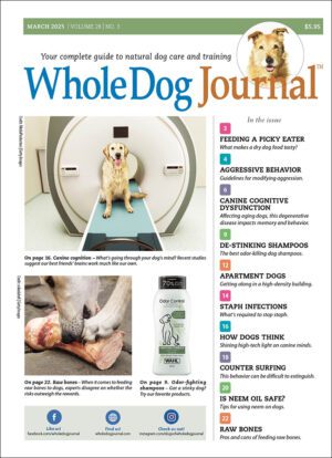 Whole Dog Journal Subscription (Gift)