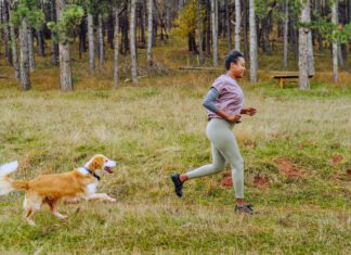 Why Do Dogs Run Away? Why do dogs run away? I can be from excitement and a desire to play.