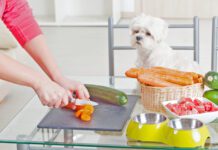 Homemade dog food recipes must include complete and balanced nutrition in order to be healthy.