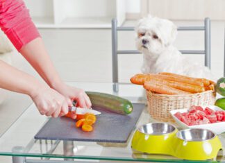 Homemade dog food recipes must include complete and balanced nutrition in order to be healthy.